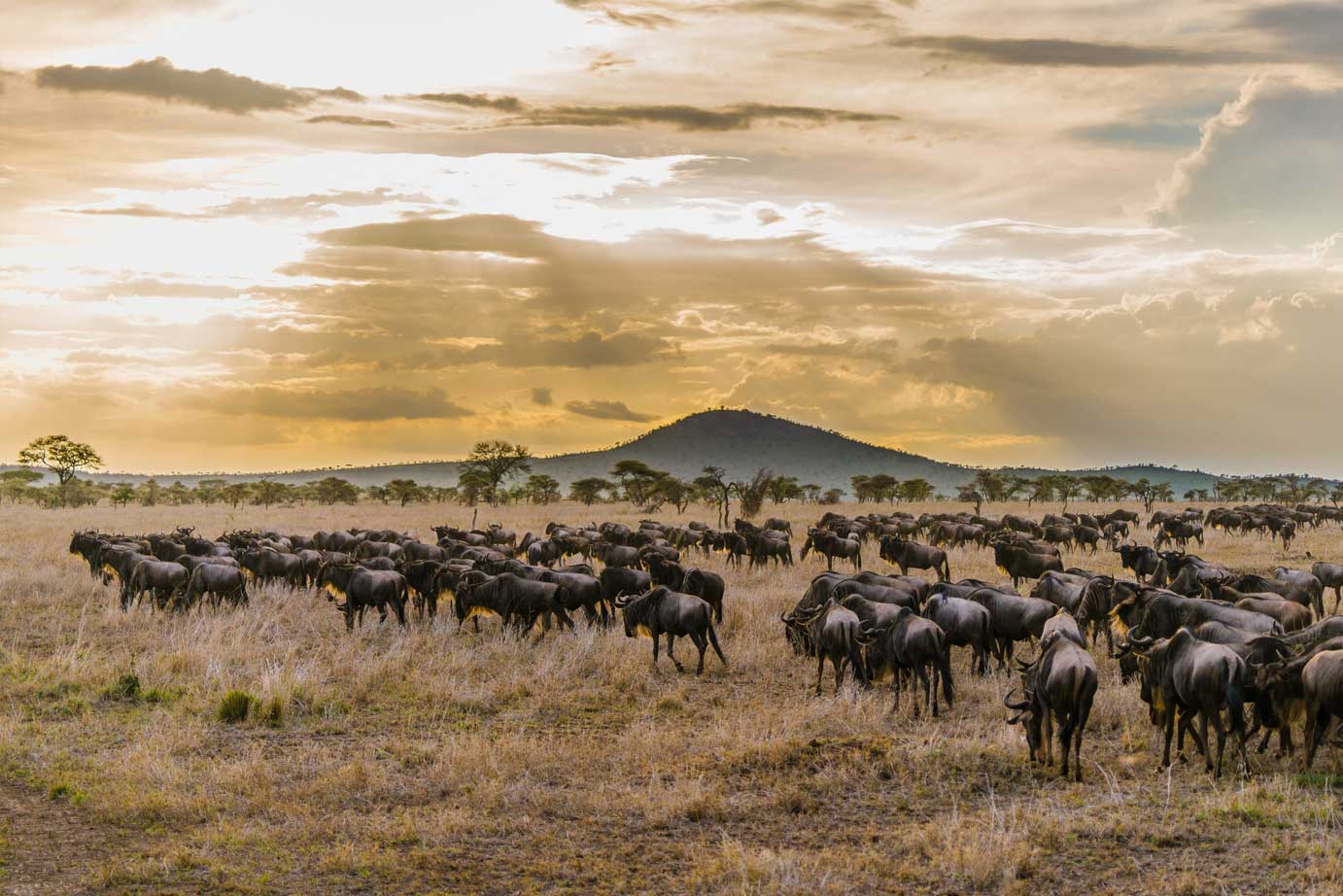 Safrai-to-Tanzania-1