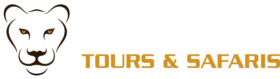 LIONESS TOURS & SAFARIS Logo