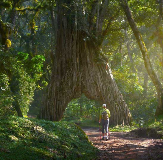 arusha-national-park