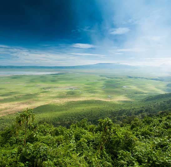 ngorongoro