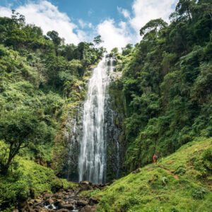 Day Trip To Meru Waterfall And Lake Duluti. $ 130